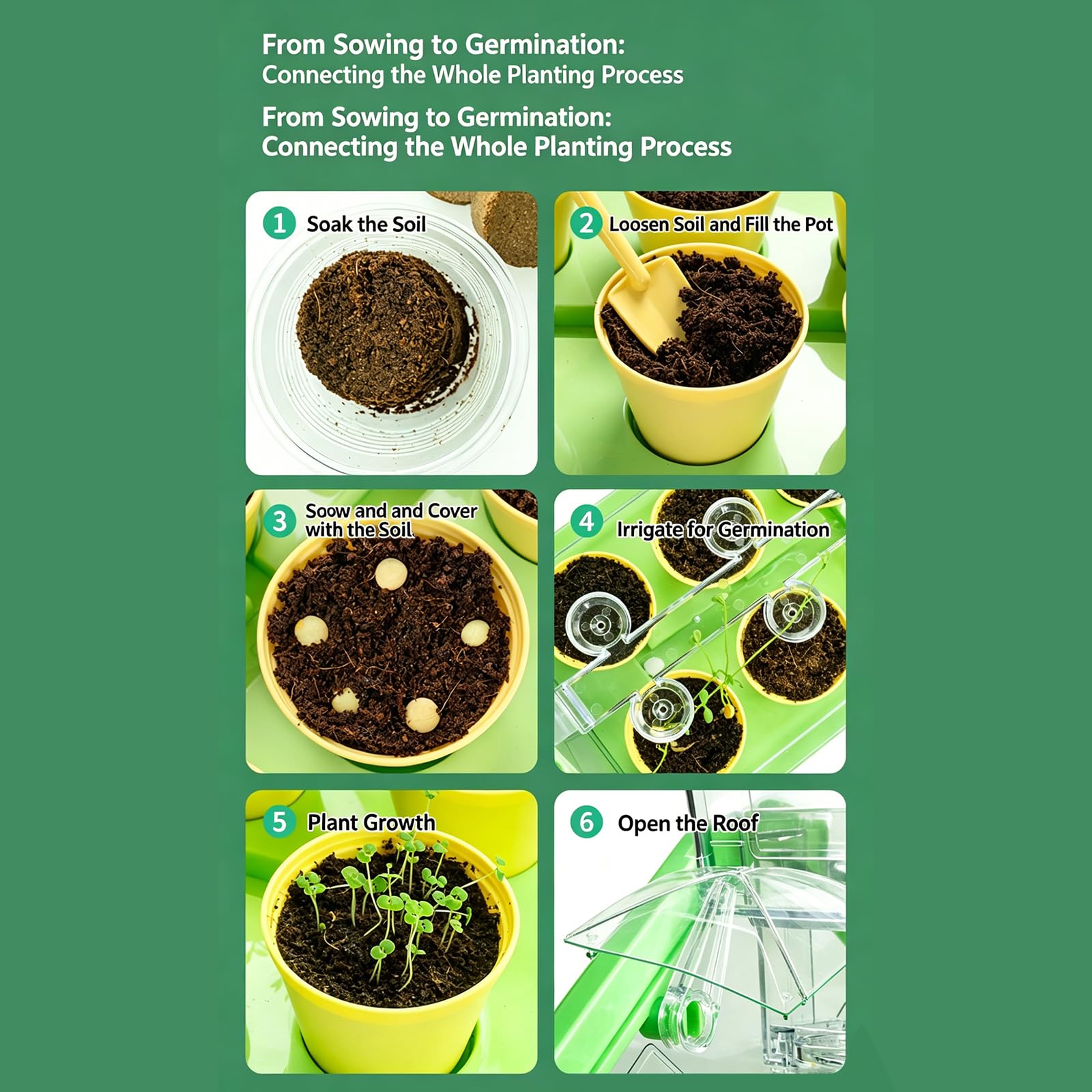 Juego de Ciencia de Cultivo de Plantas con Invernadero Transparente para experimentos educativos y Habilidades motoras, Invernadero Educativo, jardinería Familiar