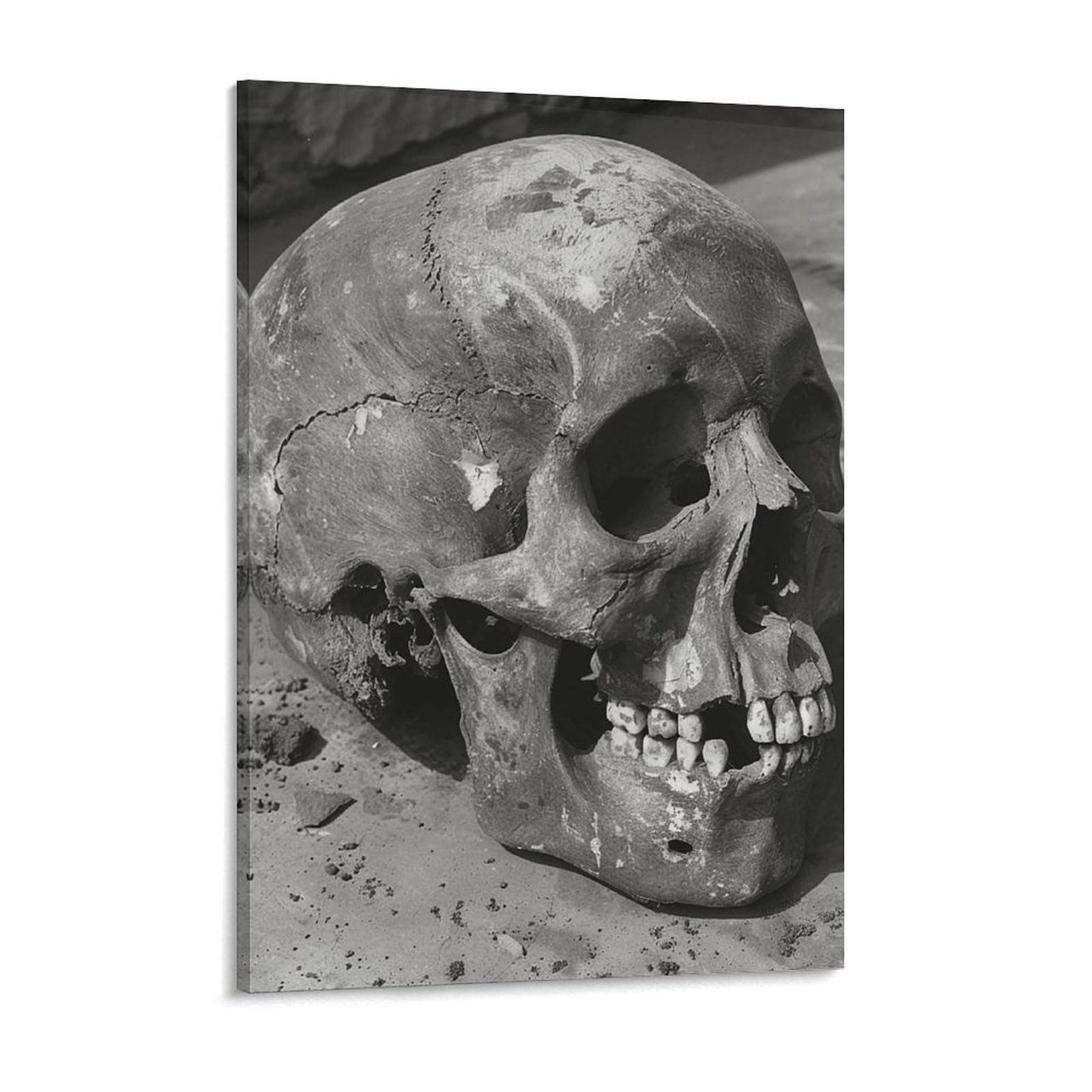 NTVOWPZO Ancient Human Skull Canvas Wall Art for Bedroom 18x24inch Canvas Prints Artwork for Walls Modern Picture Artwork Painting for Living Room Aesthetic Wall Paintings for Bathroom Kitchen Office