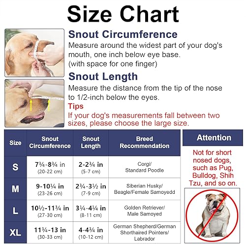 Miniatura 2 de Mayerzon Dog Muzzle, Basket Muzzle for Small Medium Large Sized Dogs, Muzzle for Dogs to Prevent Biting for Grooming Scavenging, Breathable Muzzle