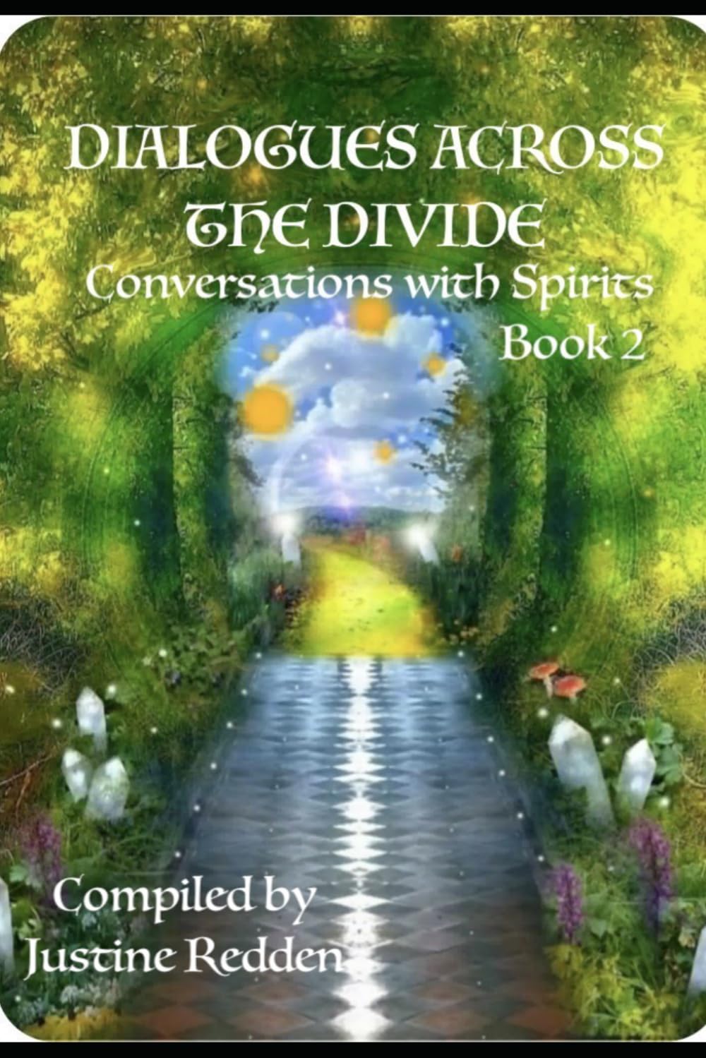 DIALOGUES ACROSS THE DIVIDE - Book 2: Conversations with Spirits