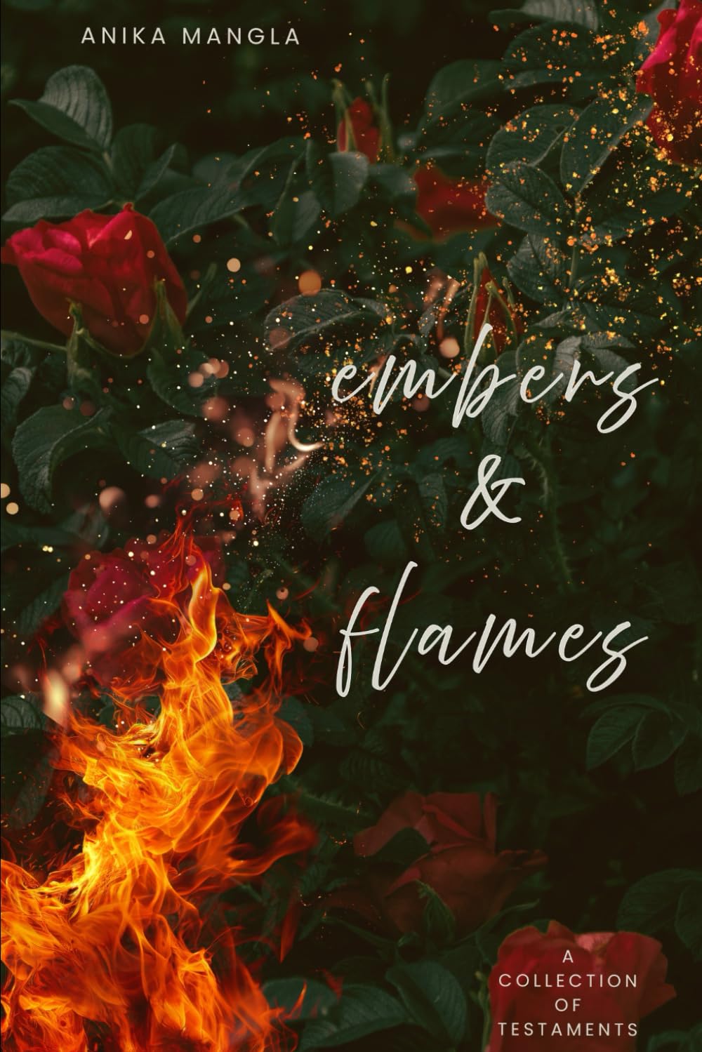 embers & flames