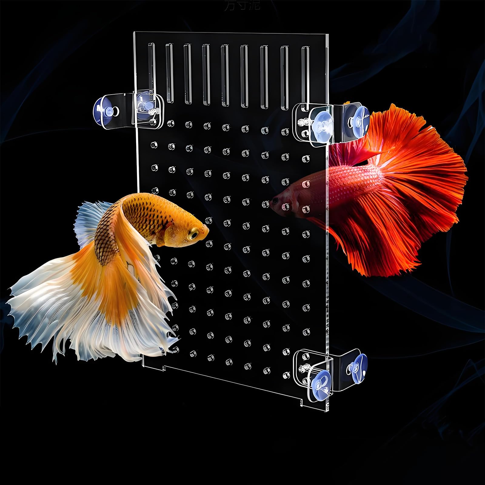 アクリル水槽　可動式セパレートタイプ　800×230×300 3-387-04 アクリル水槽（目盛付き） PWS6020 【AXEL】 アズワン