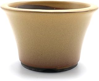 うめきち盆栽用品店 盆栽鉢 4号 丸反型鉢 黄土色 黄釉 瀬戸焼 深型 陶器 観葉植物 アガベ 塊根 多肉 サボテン 雑木 約13センチ 小品 小さい 小型