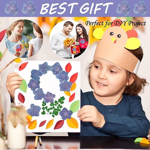 Miniatura 4 de HEISENLIN Flores secas prensadas azules y moradas, hortensias dobles para adornos de manualidades de resina, 60 flores naturales prensadas para