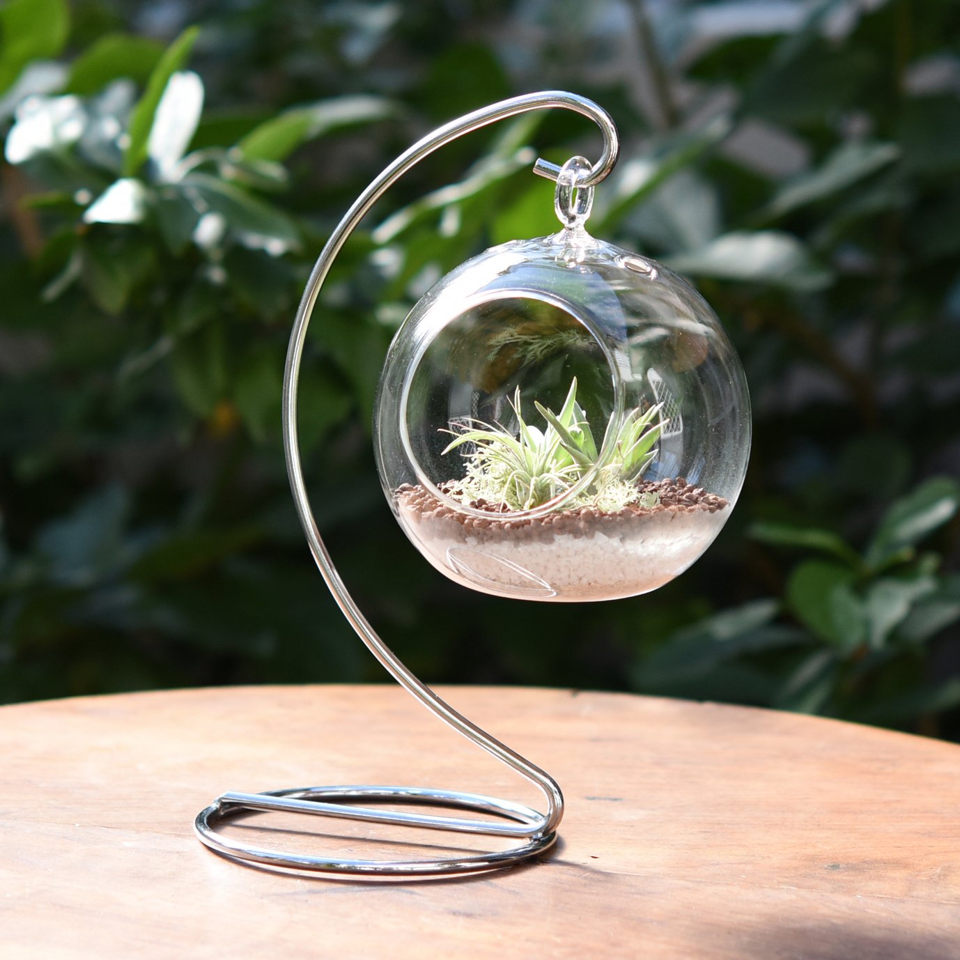 ガーデニング ガラステラリウム アンティーク　ショーディスプレイ ガーデニング テラリウム 幅35×奥行18×高さ32cm Mサイズ ガラス