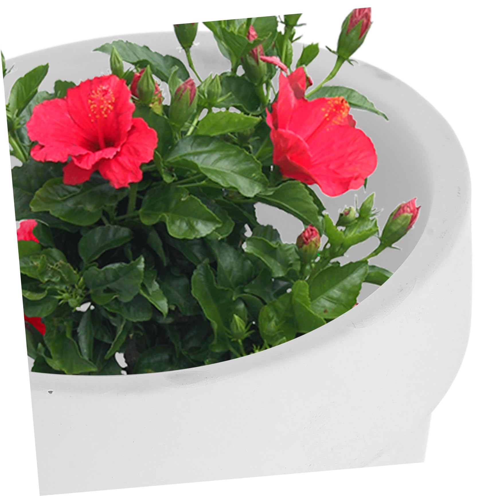 BESPORTBLE Set 20 Vasi in Terracotta Piccoli di Drenaggio per Piante Succulente e Decorazione Casa
