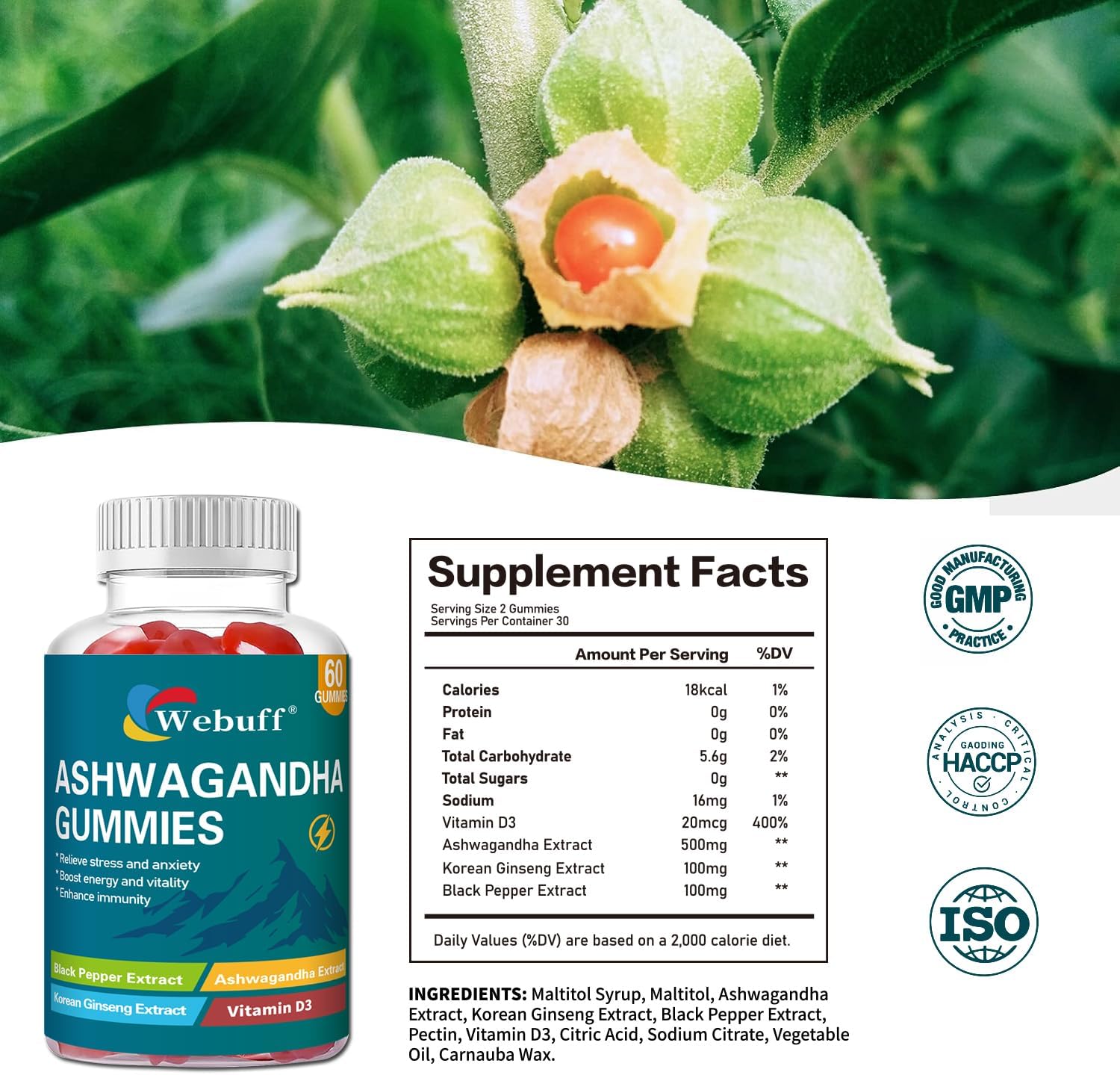 Ashwagandha Gummies with L-Theanine & Black Pepper Extract – for Daily Stress Relief, Mood Support & Mental Clarity, Non-GMO, Gluten-Free, 60 Count (Pack of 2)