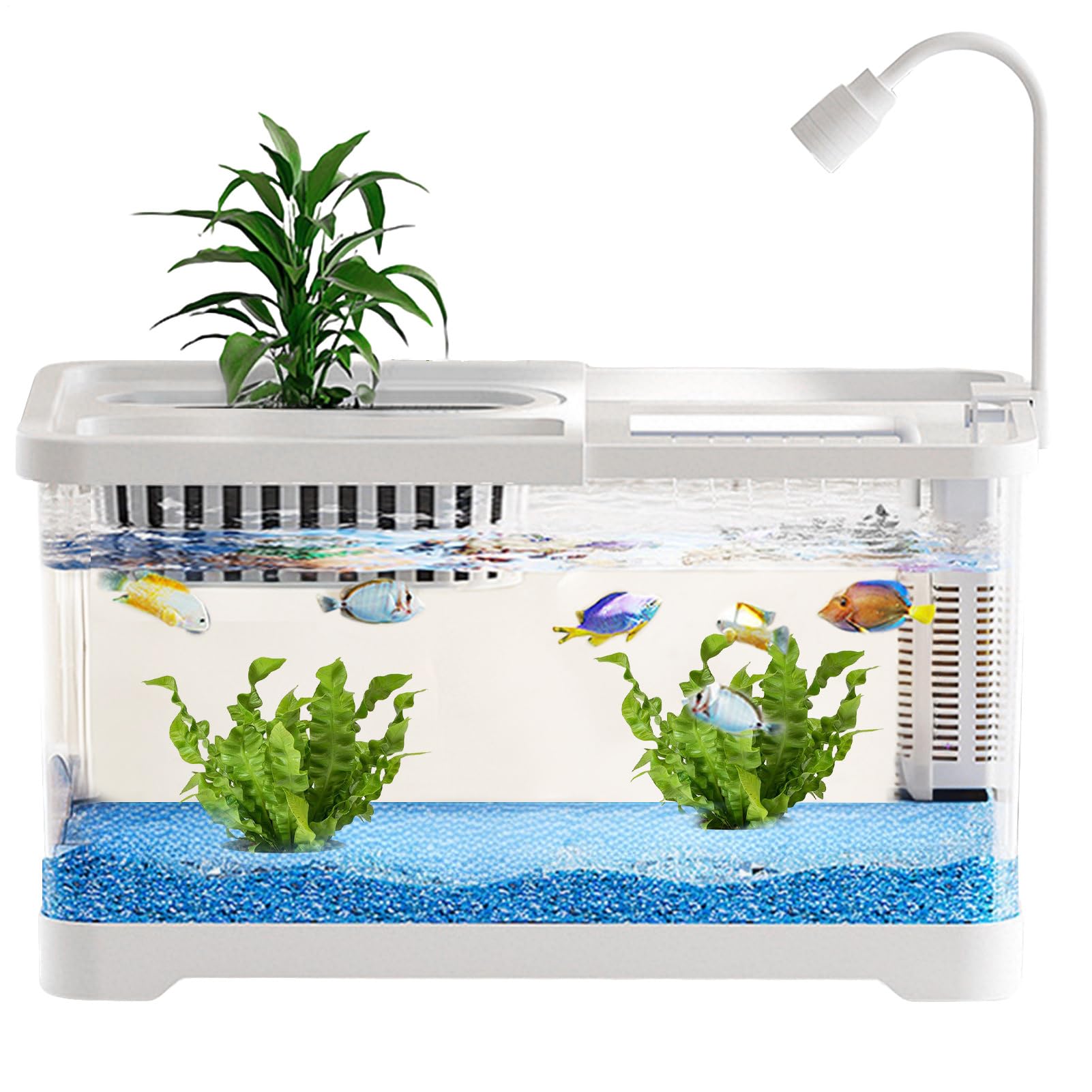 Pecera,Peceras Transparentes para Peces Betta con Filtro | Bola Decorativa Transparente para Escritorio de Oficina Hogar Sala Dormitorio para Medusas Caracoles Tortugas