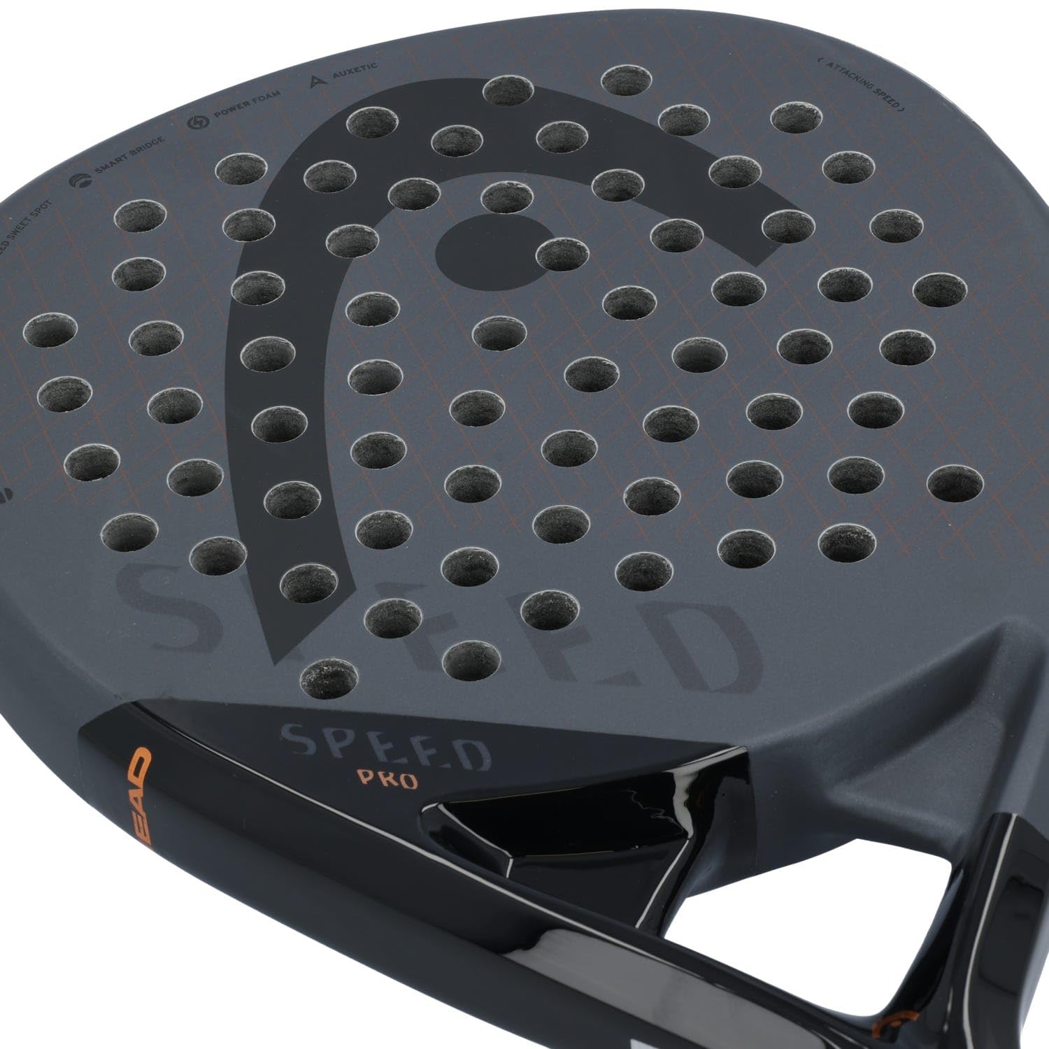 HEAD Speed Padel Racket Paddle Series (Pro, Pro X, Motion, Elite)