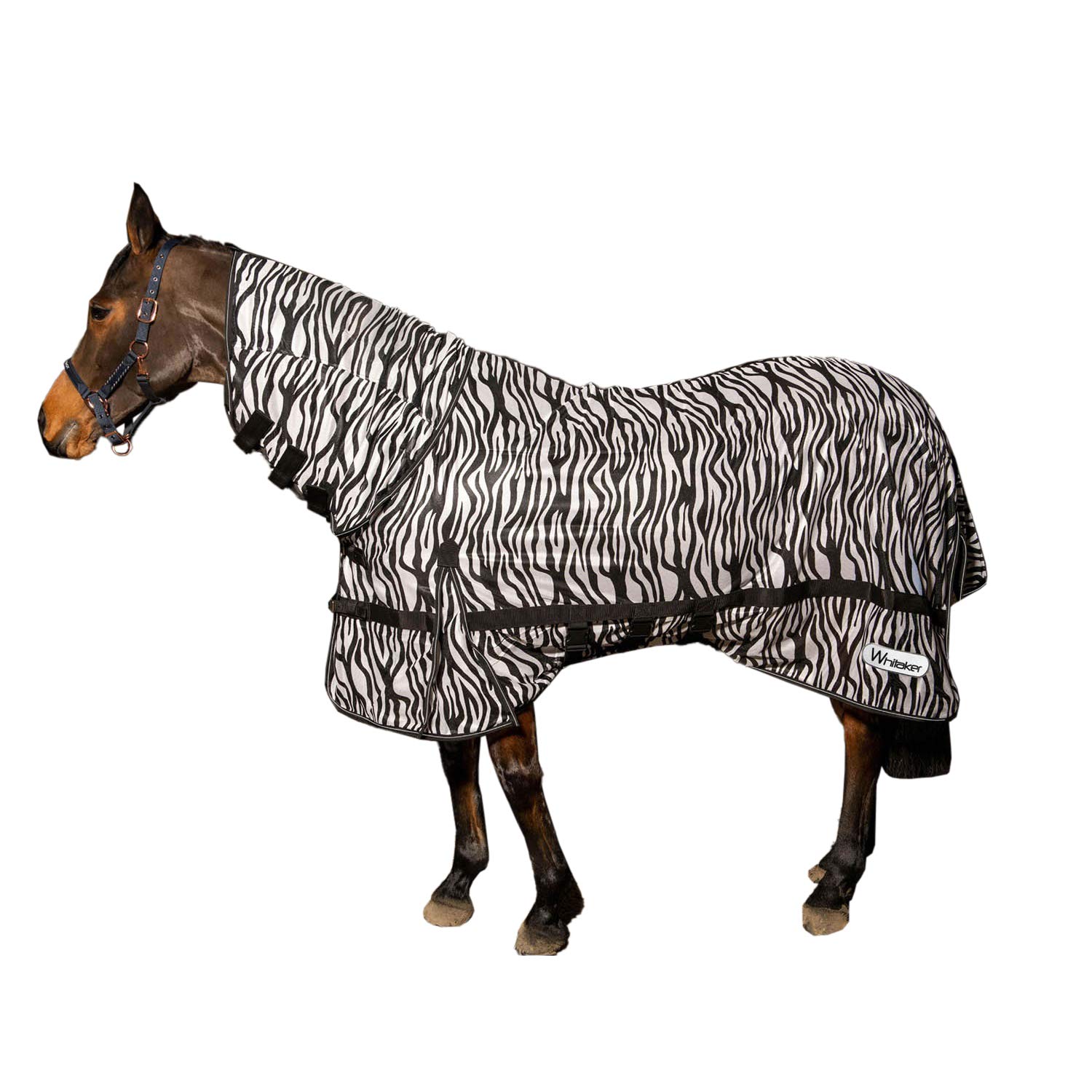 Whitaker Marwell Zebra Horse Fly Rug (6´ 3) (Black/White)