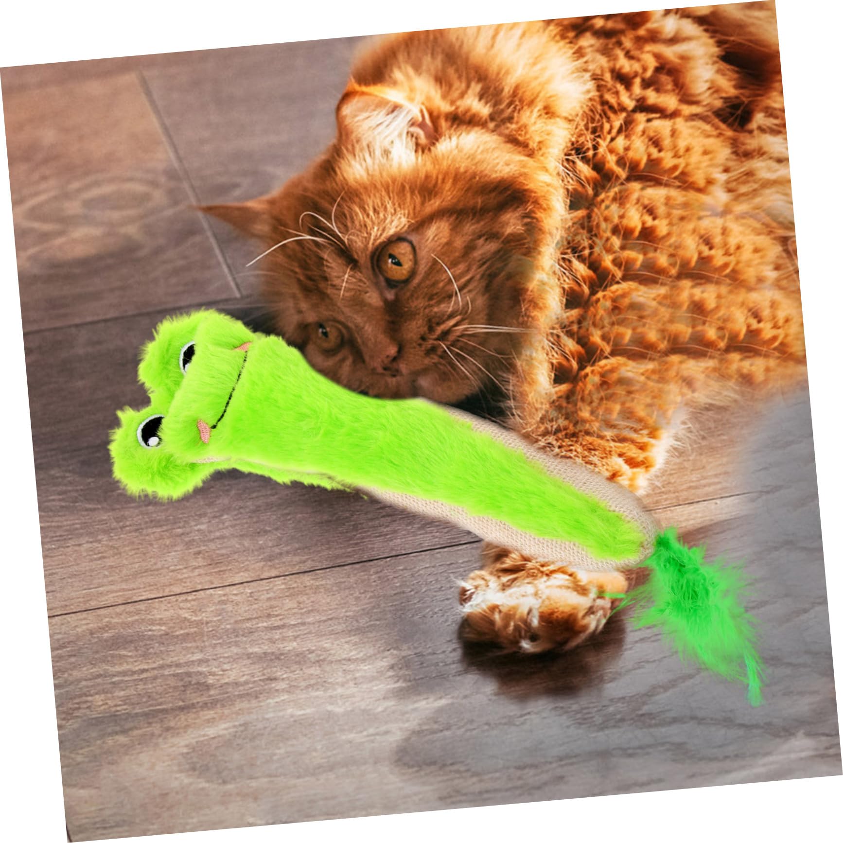 Jouet Chat Herbe à Chat Taquiner Jouets Intérieur Produits Mâcher Dentaire Interactifs