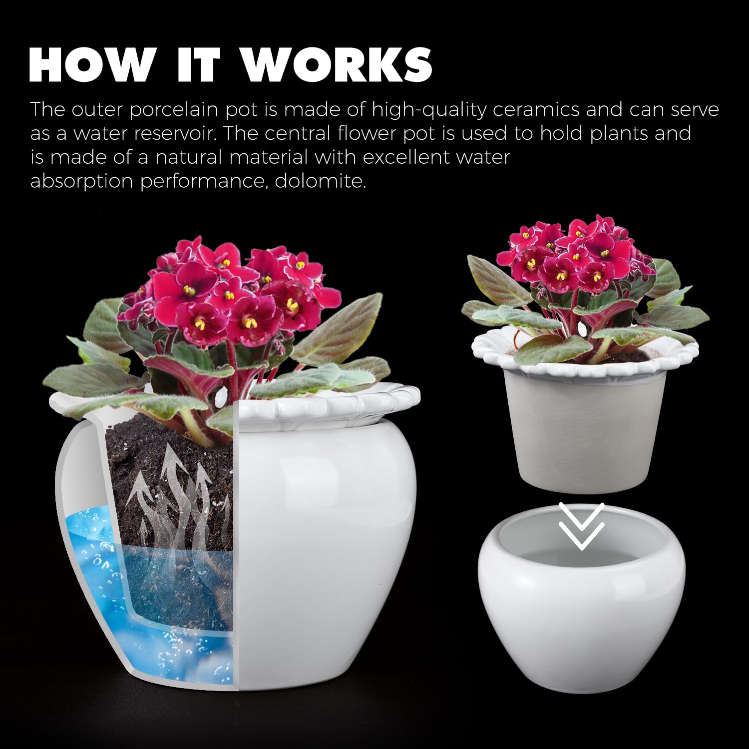 African Violet Planter Ceramic White Amazon.com: African Violet 6