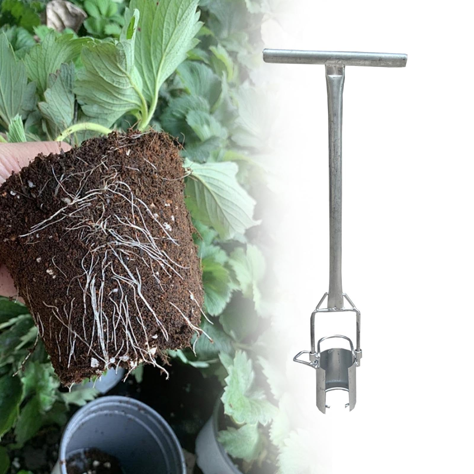 Outil de Transplantation de Bulbes Jardinage Long Manche Acier Inoxydable 9.84x32.68 pouces pour Plantation Semis Légumes