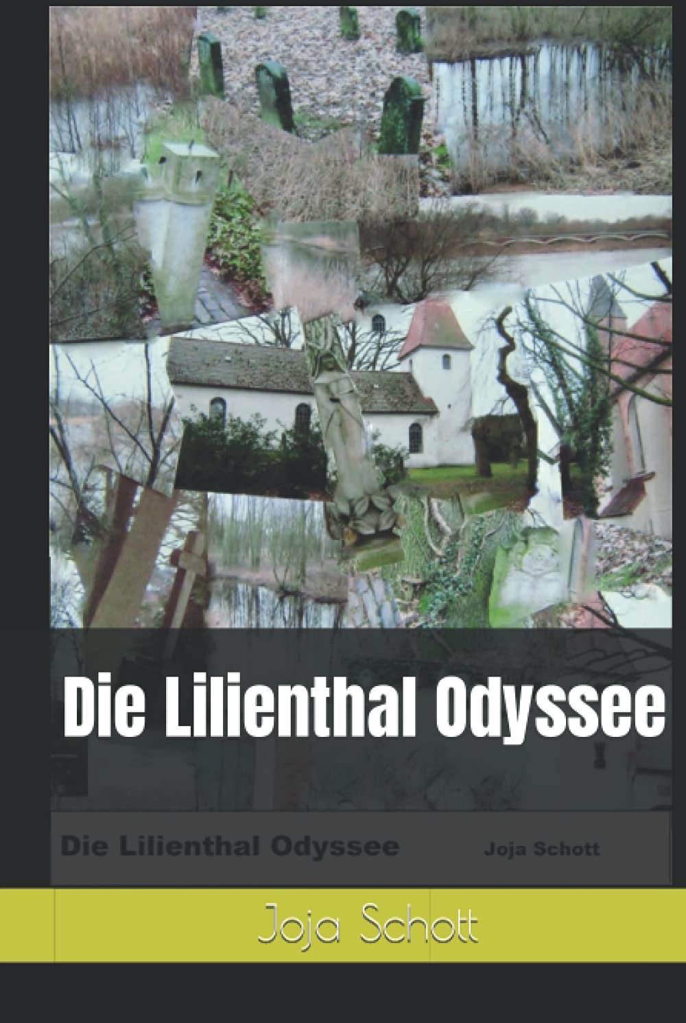 Joja SchottDie Lilienthal Odyssee