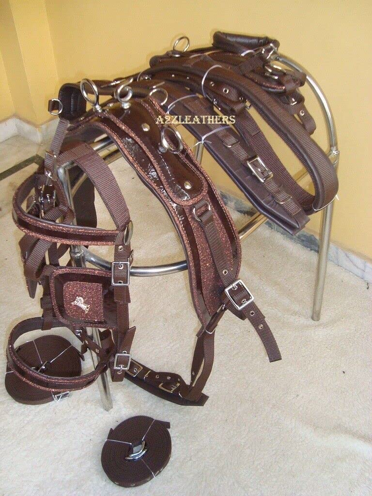 Harnais de conduite en nylon verni synthétique marron avec patch de designer sur tous en 4 tailles (Shetland)