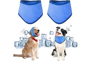 2 Pack Cooling Scarf for Dogs