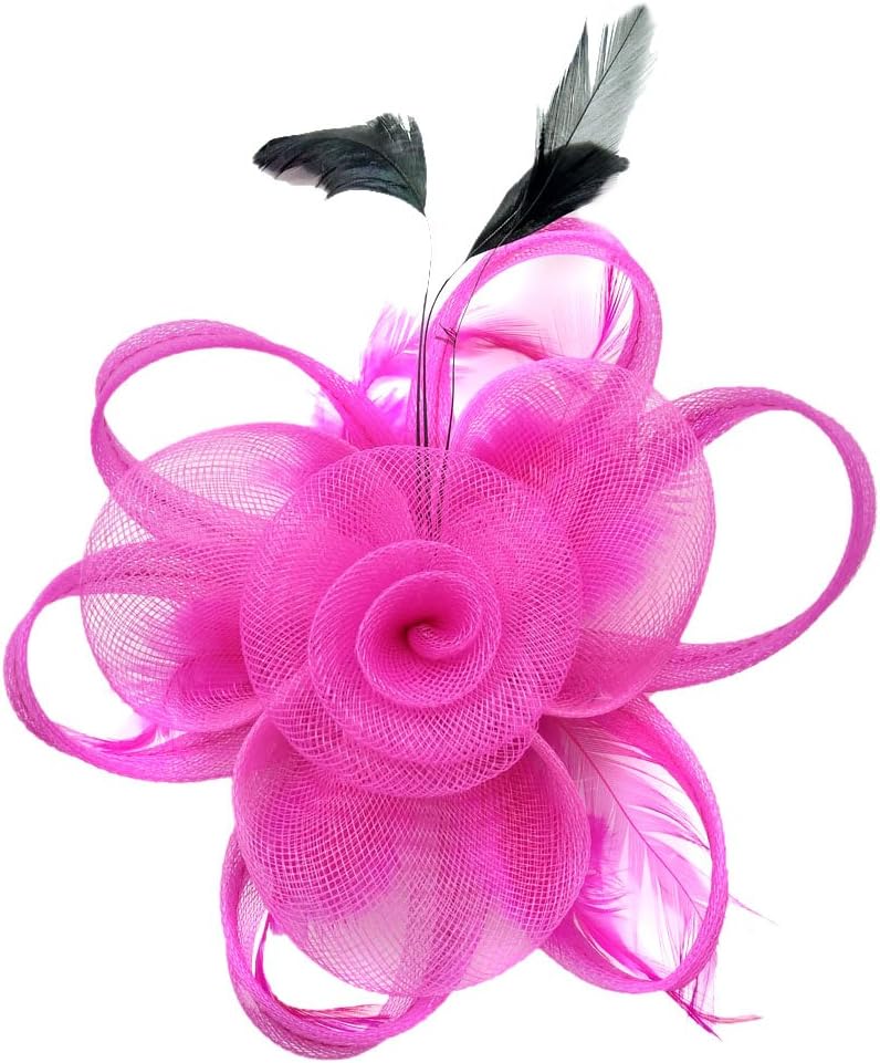 Ahugehome Fascinator Hair Clip Women Flower Feather Headband Pillbox Hat Tea Party