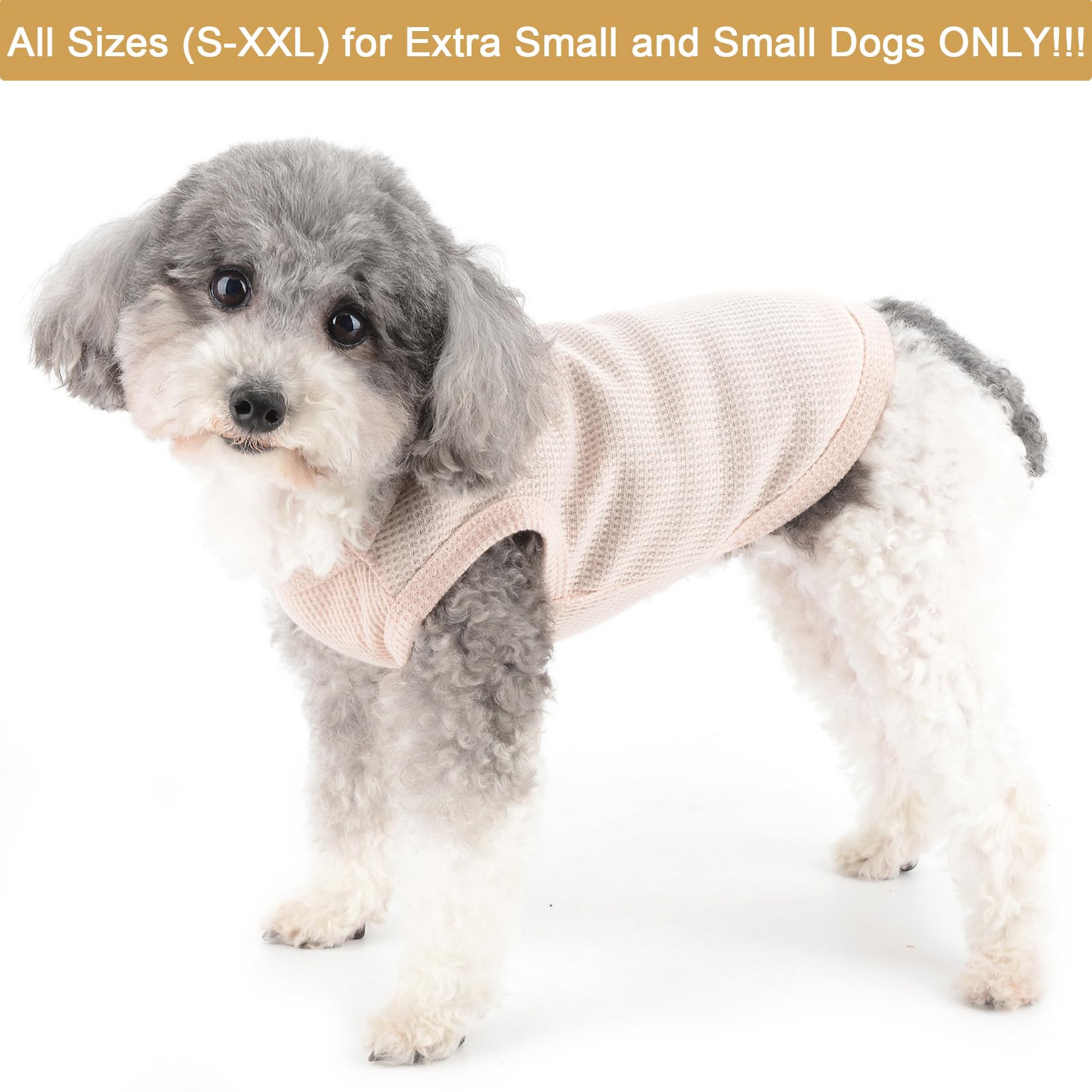 Zunea Dog Shirts for Small Dogs Summer Vest T-Shirt Soft Breathable Puppy Clothes Basic Tee Shirt Pet Sleeveless Tank Top Chihuahua Yorkie Cat Sweatshirt Apparel Beige M - Image 2
