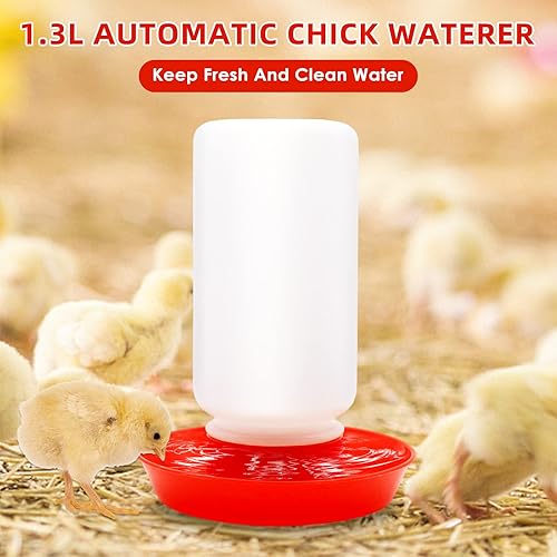 Miniatura 5 de Kit de comedero y bebedero para pollitos con lámpara de calor de 75 W, perca para pollitos, alimentador de aves de corral abatible, kit de inicio