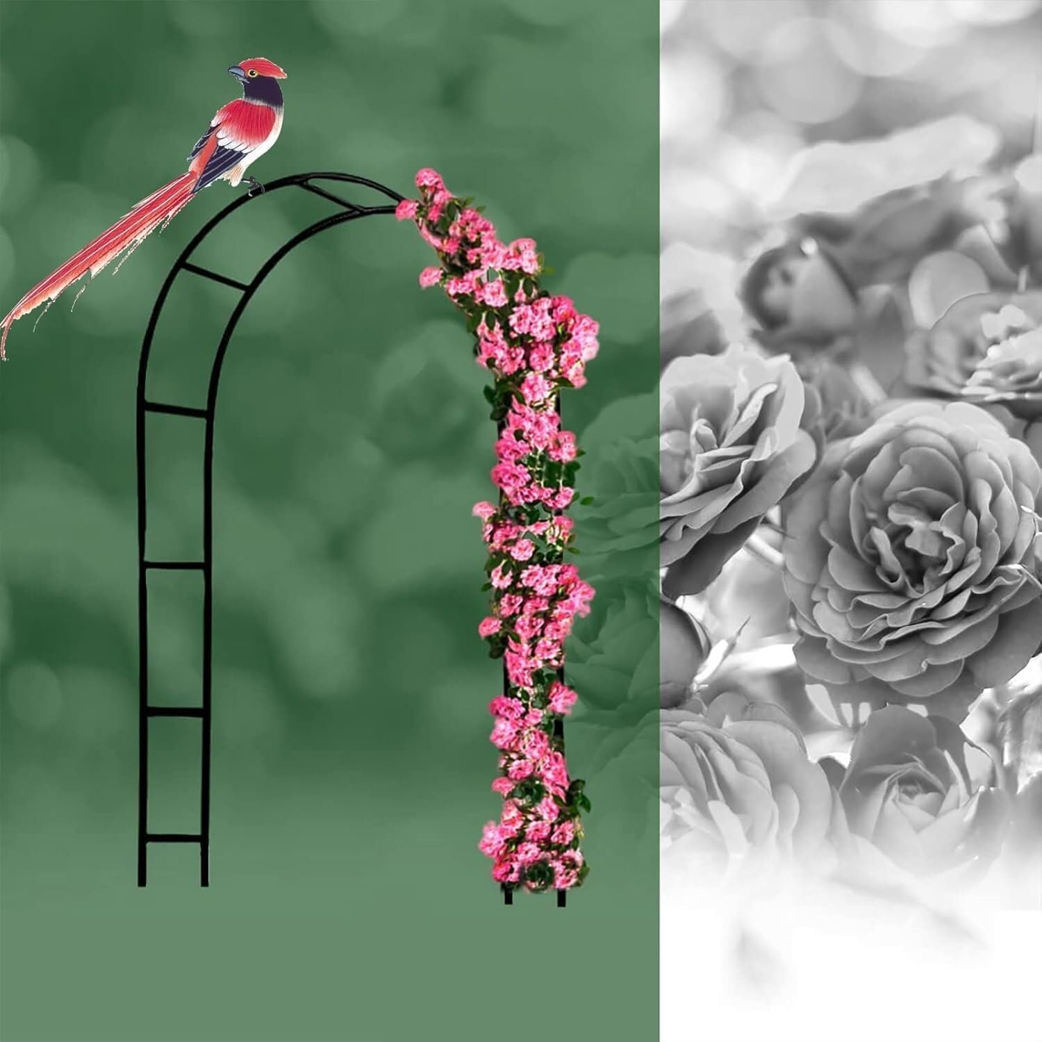 Arc de jardin en métal idéal pour sublimer une fête de mariage en plein air