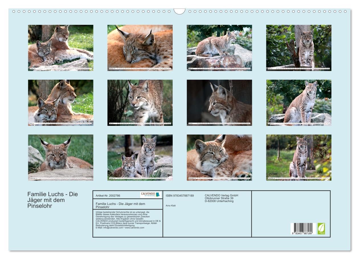 Familie Luchs - Die Jäger mit dem Pinselohr (Wandkalender 2026 DIN A2 quer), CALVENDO Monatskalender: Im Leben einer Luchsfamilie (CALVENDO Tiere)