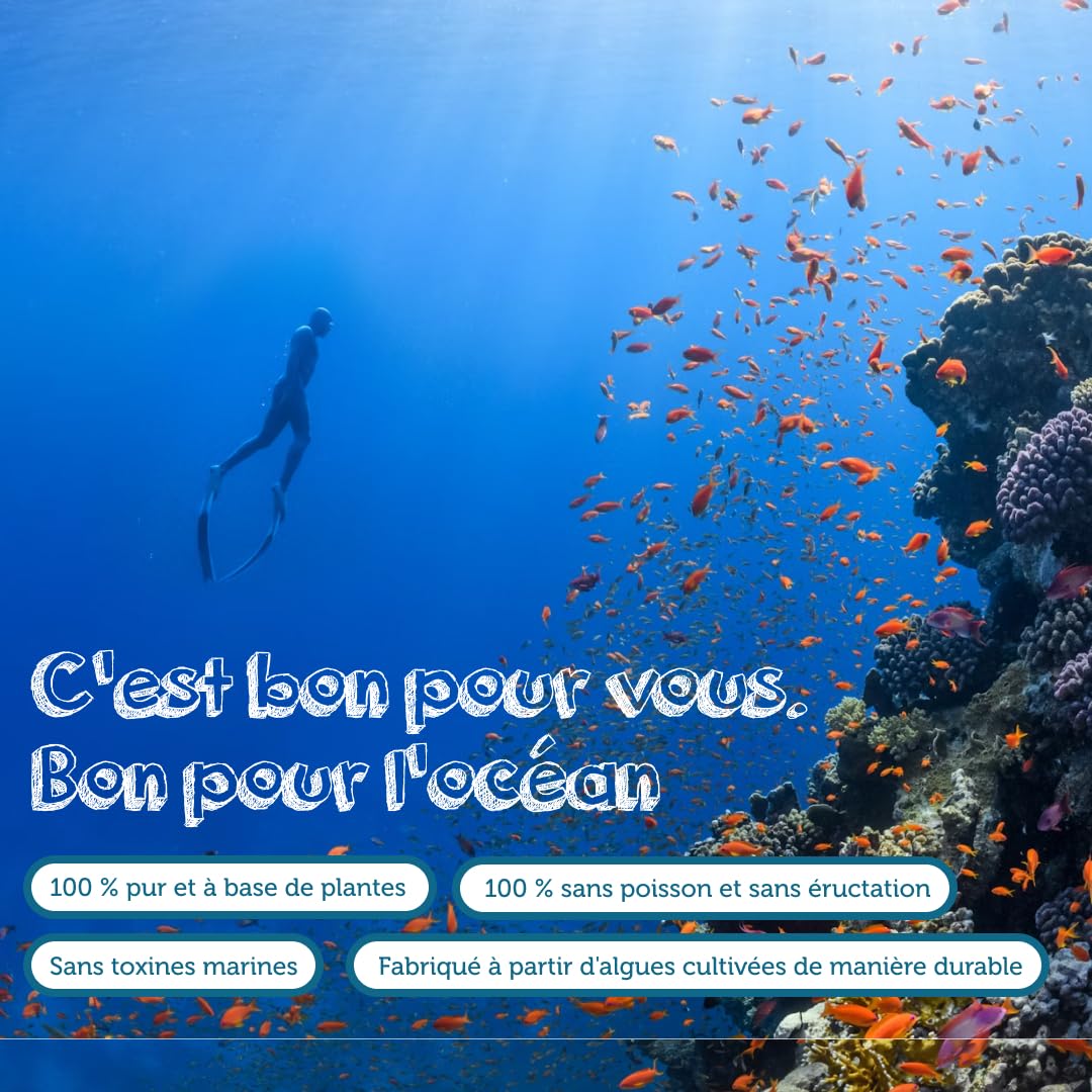 Omega 3 Vegan - Huile d'Algue haute concentration - 300 mg DHA + 150 mg EPA par capsule - Bénéfique pour le Cœur, le Cerveau et les Yeux - 100% Végétal - 60 capsules (2 Mois)