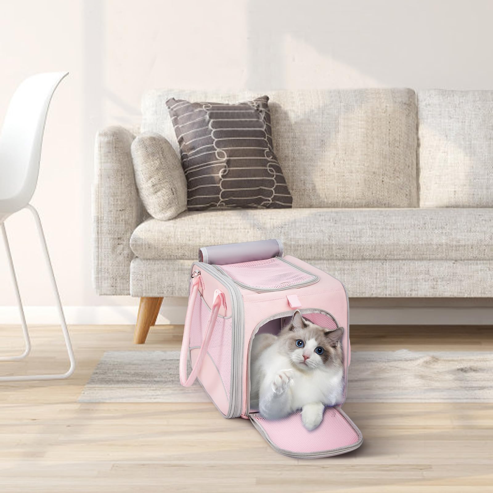 Transportador para gatos, bolsa portátil para mascotas, aprobado por aerolíneas, máximo 15 libras, transportador de gatos de lados suaves con diseño de marco exterior sólido, cuenco plegable,