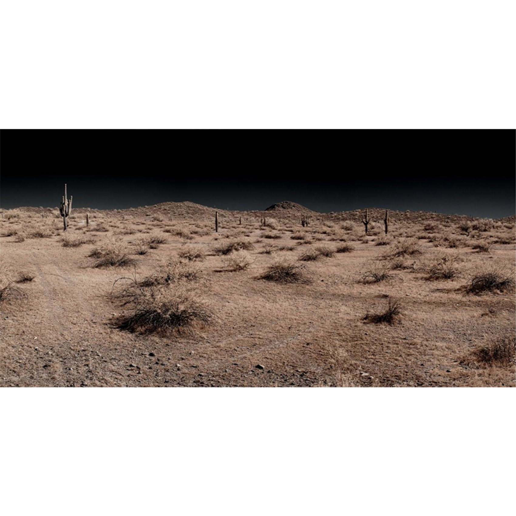 MIRRORANG 76x46cm Terrarium Background Night Cactus Gobi Desert Reptile Habitat Background Vinyl Background