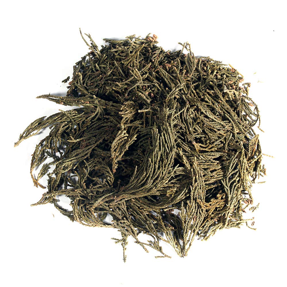 EidolonGreen [China Medicinal Herb] Leaf of Arborvitae (Green leaf of Arborvitae/Thuja/측백엽/侧柏叶/Ce bai ye) Dried Bulk Herbs (3 Oz / 88g)