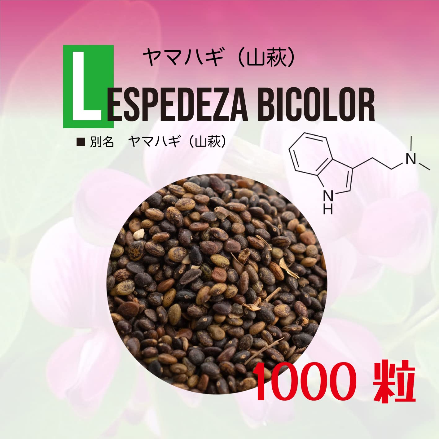 Amazon | ヤマハギ・山萩（Lespedeza bicolor）種子 1000粒 | 植木