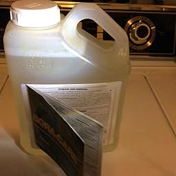 Amazon.com: Nisus Bora Care - 1 Jug Natural Borate Termite ...