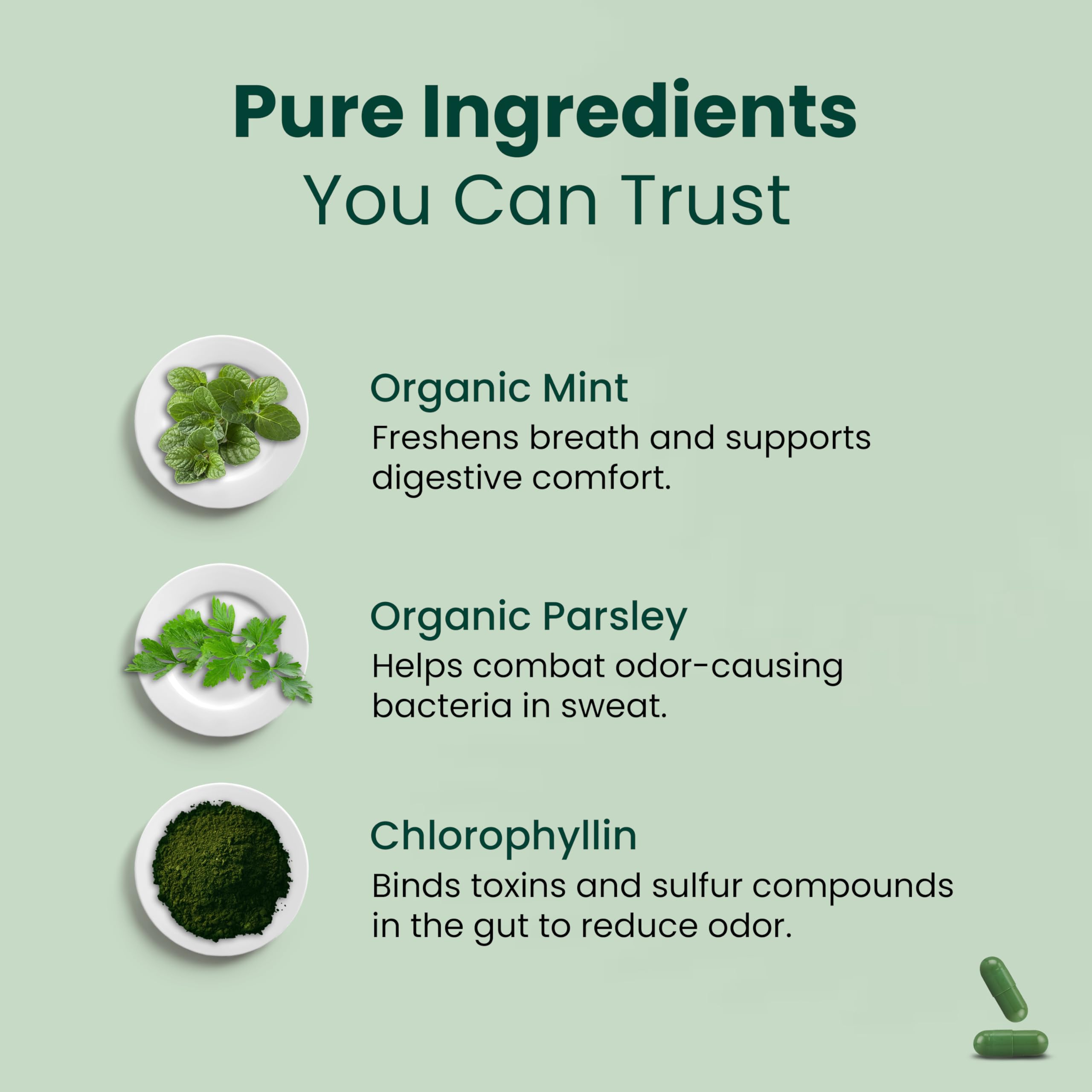 Parmint Chlorophyll Capsules - Internal Deodorant -4 Parmint Chlorophyll Capsules - Internal Deodorant -4