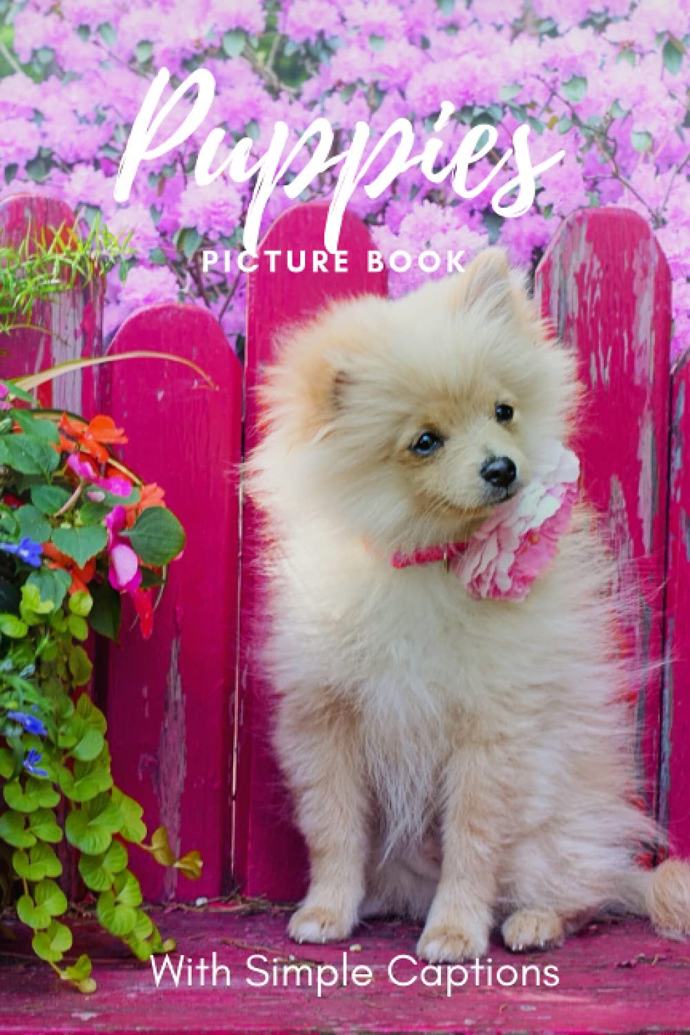 Picture Book of Puppies: Book gift for dementia patients and seniors living with Alzheimer’s disease. Large print for adults with simple captions. (Picture Book for Dementia Patients)