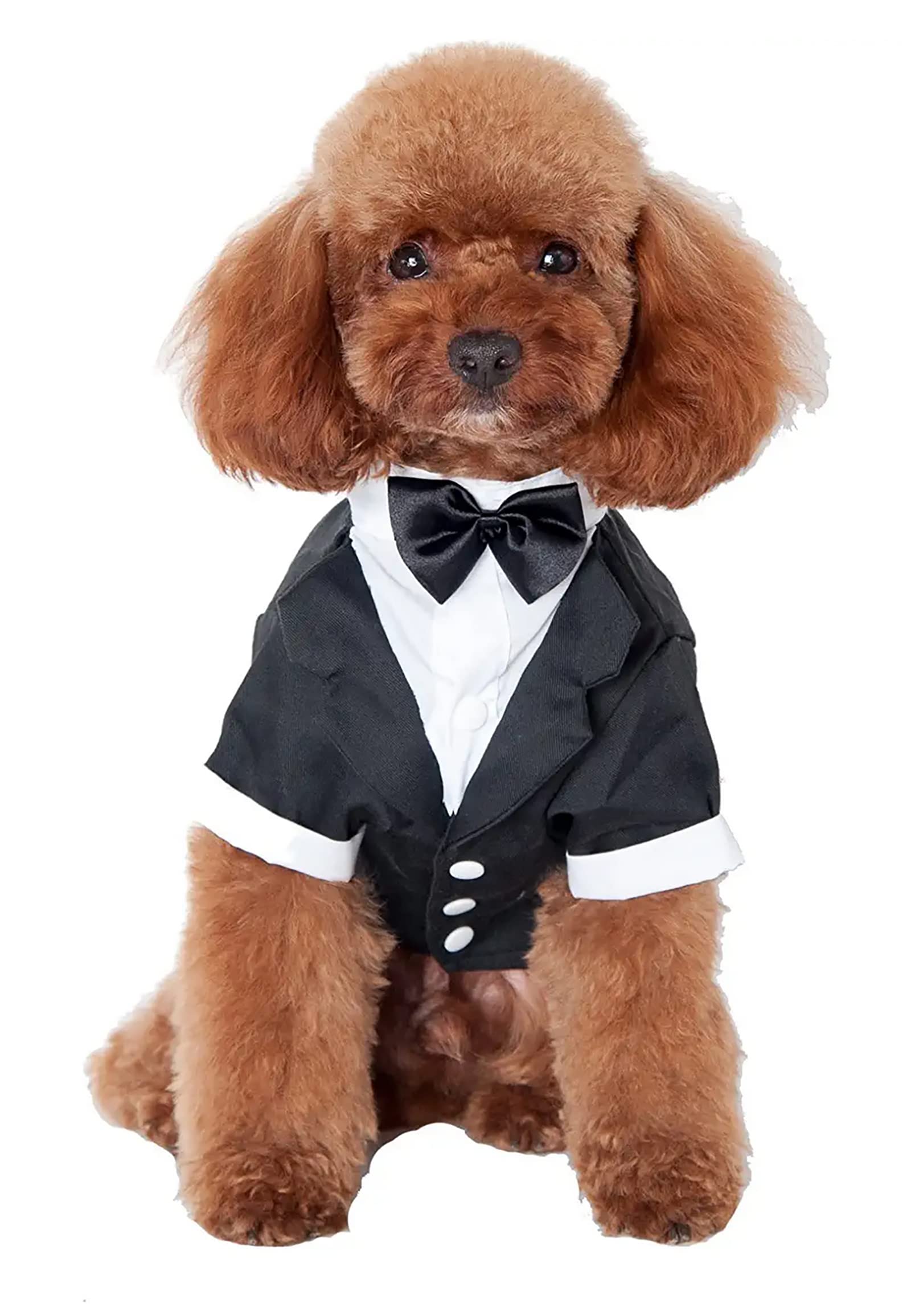 GabeFish Pets Wedding Jackets Suit for Dogs with Bow Tie Puppy Cat Formal Clothes Shirt Tuxedo Black Large