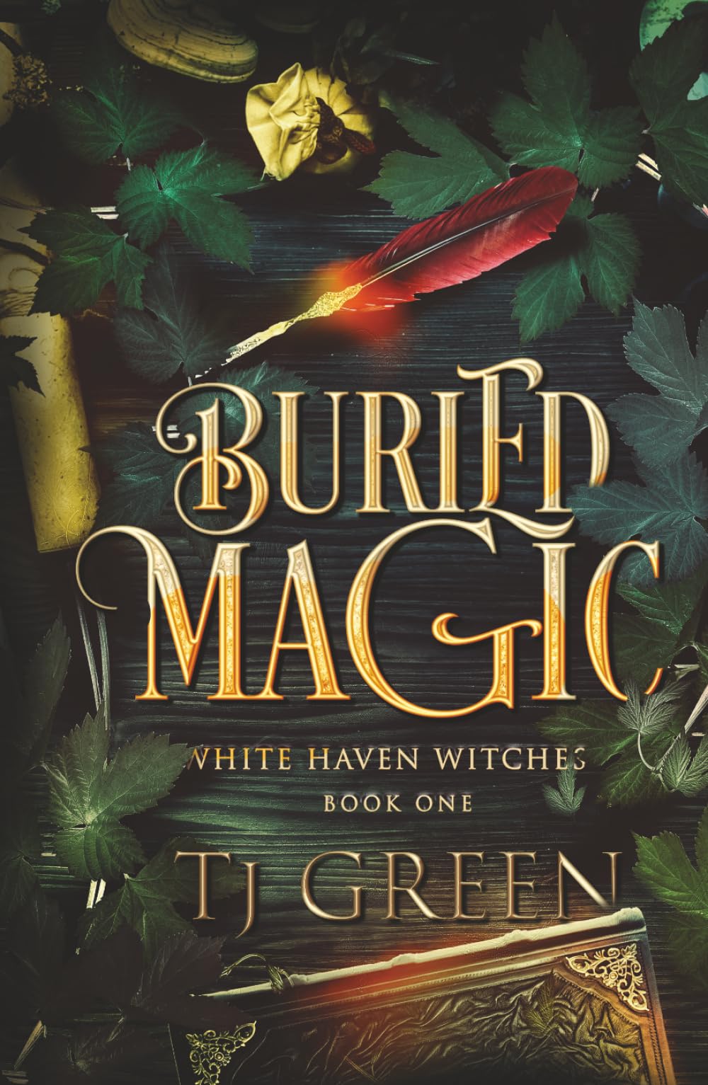 Buried Magic: Paranormal Witch Mystery: Paranormal Mystery: 1 (White Haven Witches)
