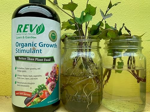 Miniatura 11 de Organic REV - Alimento vegetal natural de 32 onzas para plantas más saludables