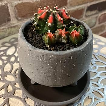 ビー玉　レトロ　レアその①　川揚がり ビー玉 レトロ レアその① 川揚がり