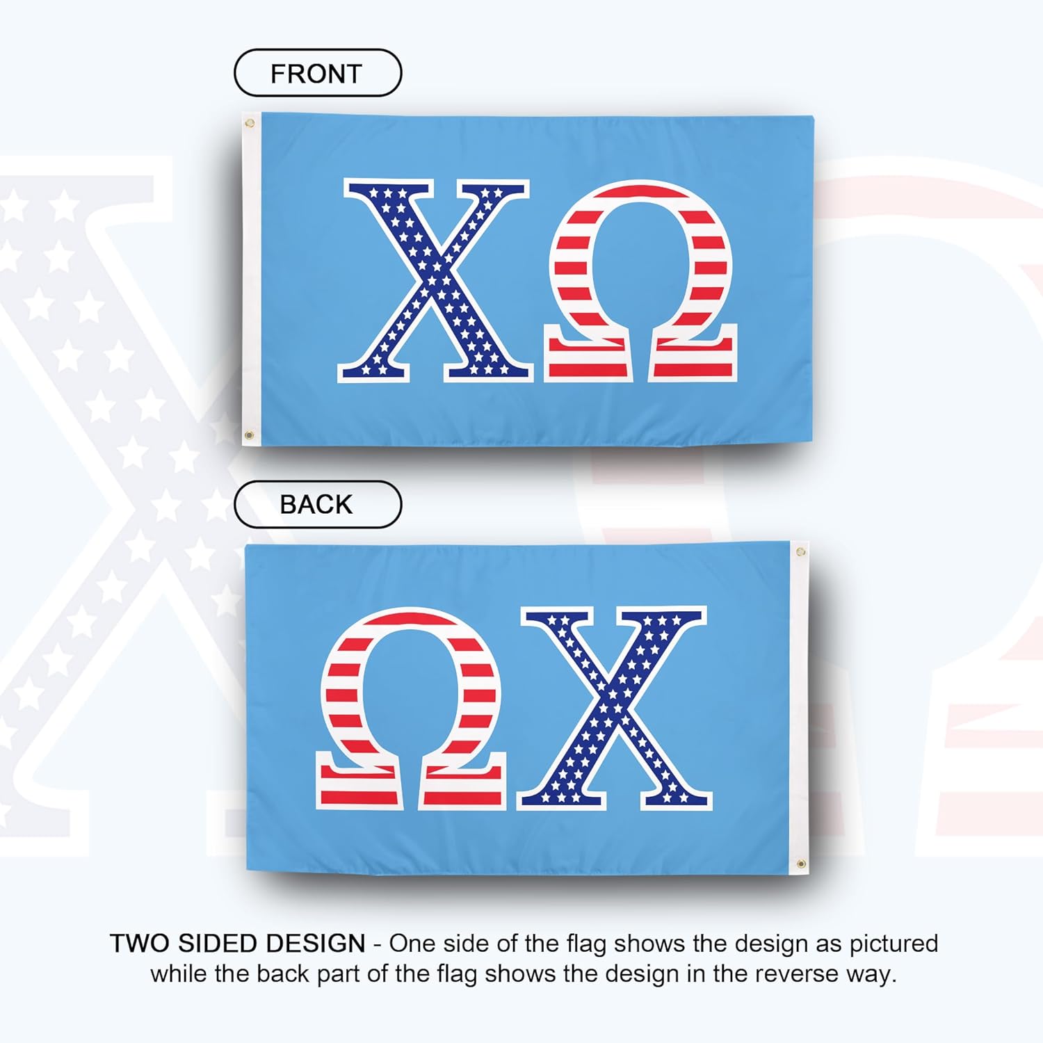 Desert Cactus Chi Omega Flag USA Letter Sorority Greek Banner Large 3x5 feet Sign Decor Chi O