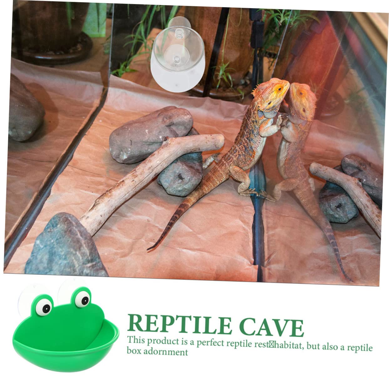 INOOMP 6pezzi Terrarium Cup Rest Platform Per Rettili Habitat Decorativo Per Gechi e Luogo Accogliente e Multifunzionale Per