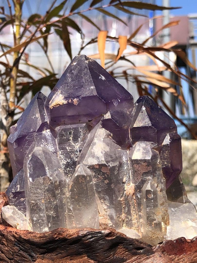 Amazon.co.jp: 超レア 690g極上 城 紫鰐水晶 骸骨水晶 エレスチャル