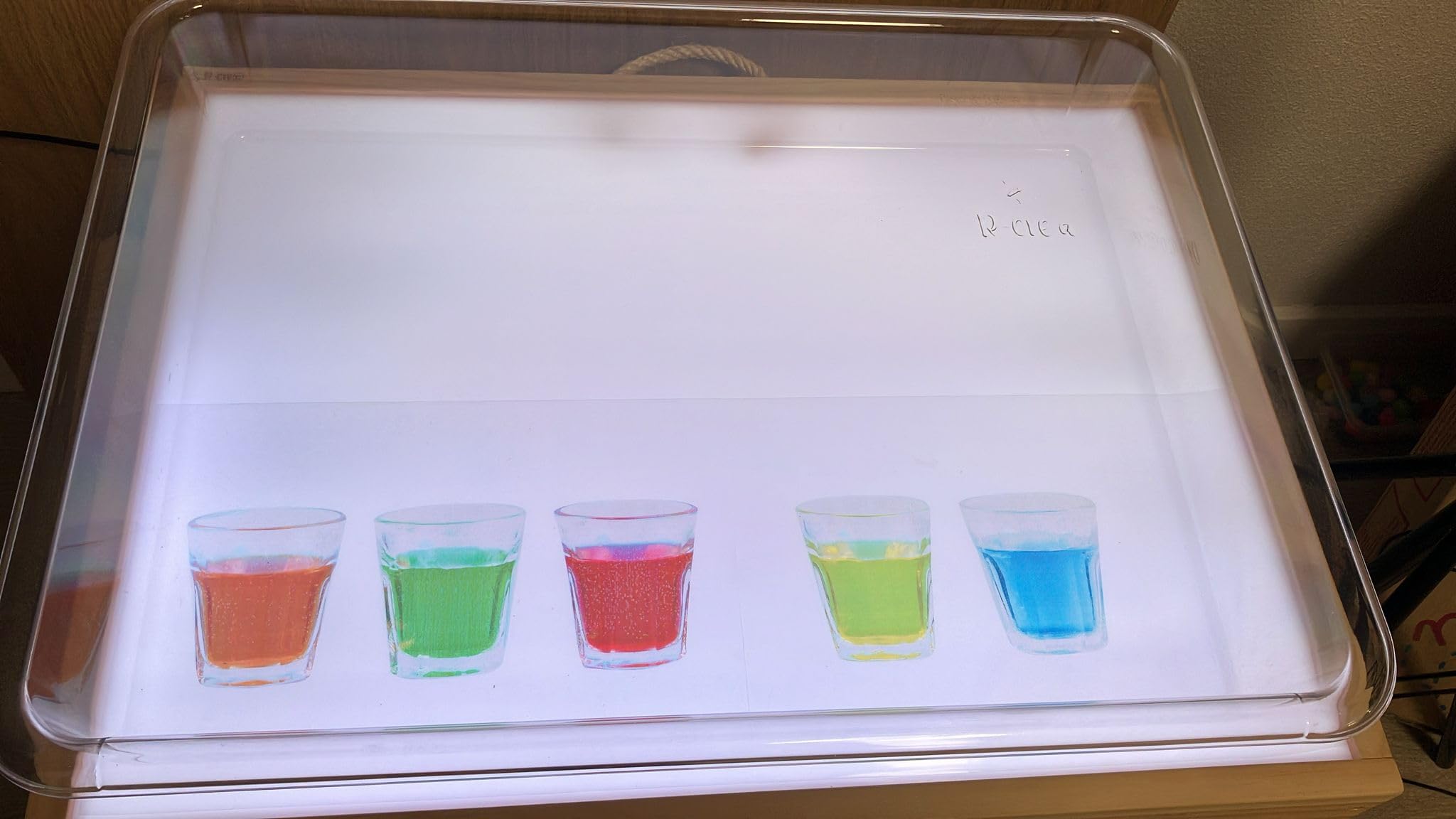 Vassoio di Esplorazione Montessori Trasparente A2 | PET Cristallo Resistente e Sicuro | Attività Sensoriali con Sabbia, Acqua e Colori | Educazione e Sviluppo Infantile