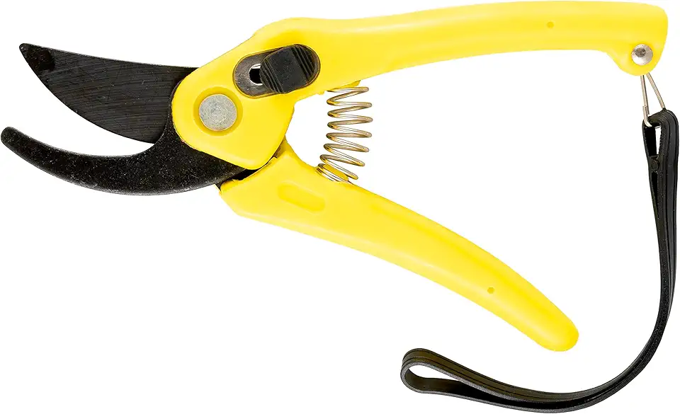 Eda Tesoura de Poda para Jardinagem 7"
