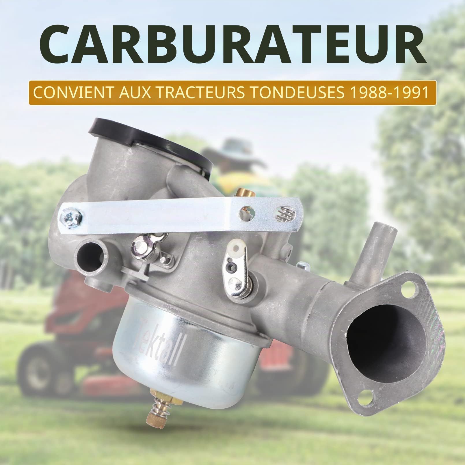 Carburateur avec joint de rechange pour Briggs & Stratton 252702 252707 253702 253706 491590 390811 392152