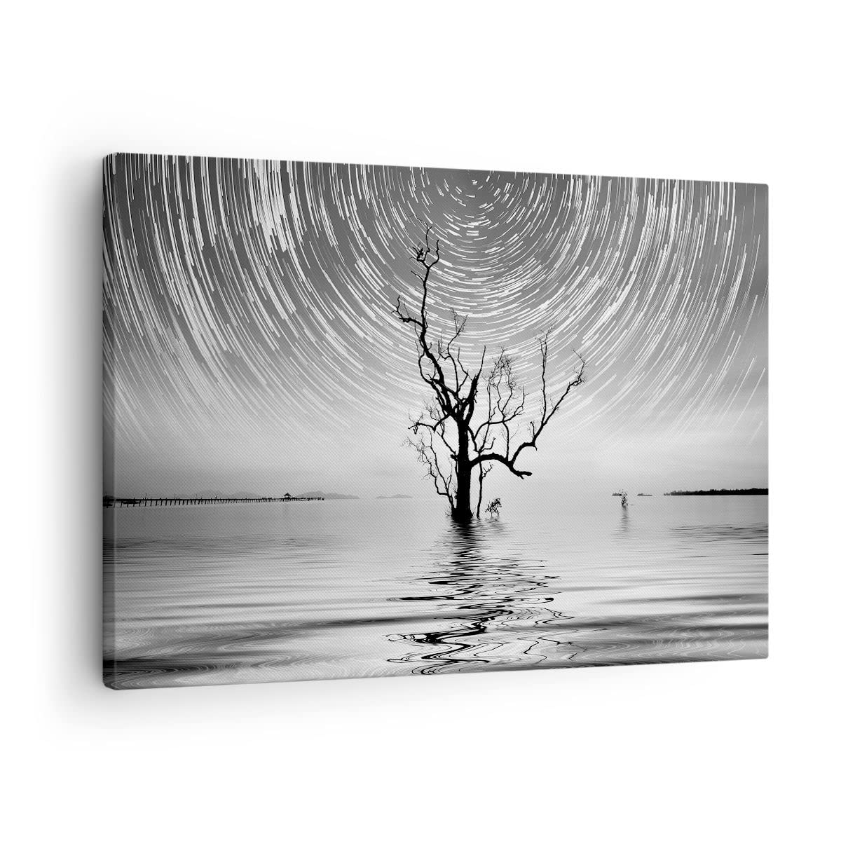 ARTTOR Lienzos decorativos Blanco Y Negro Árbol Lago Cuadro Sobre Lienzo Moderno 70x50cm Cuadros Decoracion Salon Dormitorio Cocina Cuadros Pared Imágenes Wall Art Prints Decor Canvas AA70x50-4253