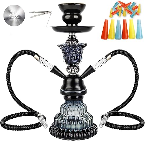 Juego de 2 mangueras de cachimba Juego de cachimba pequeño de 11 pulgadas con jarrón de vidrio, cuenco de cerámica, manguera de cuero, pinzas de