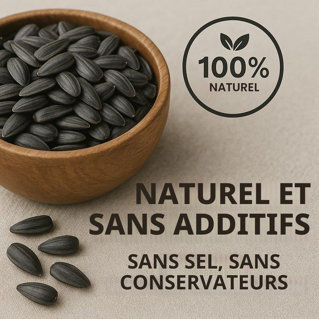 GiDeli Graines de tournesol noires - 30 kg - Nourriture pour oiseaux sauvages - Nourriture pour chevaux et petits animaux