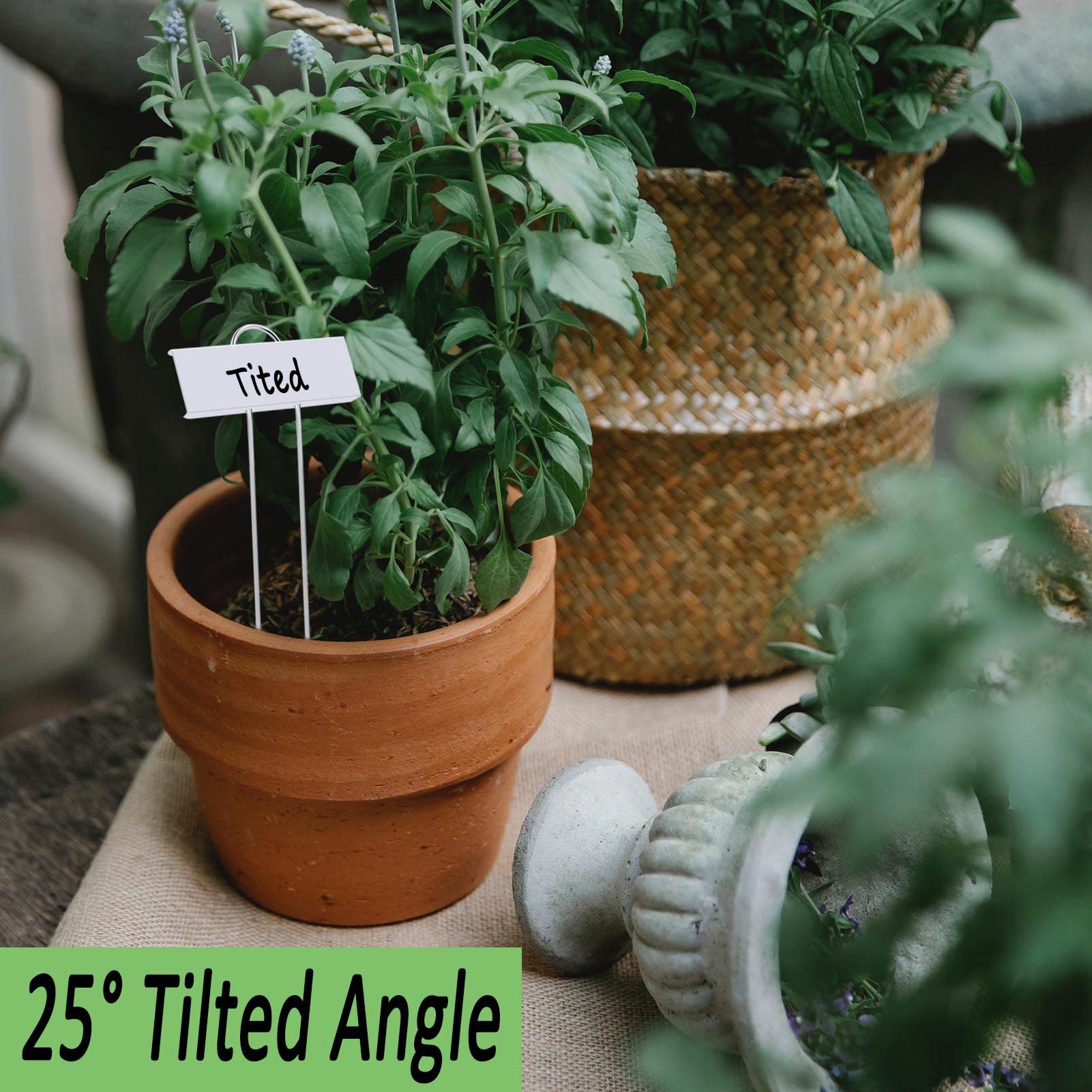 Amazon.co.jp: 30個 金属植物ラベル ガーデン植物マーカー 11インチ