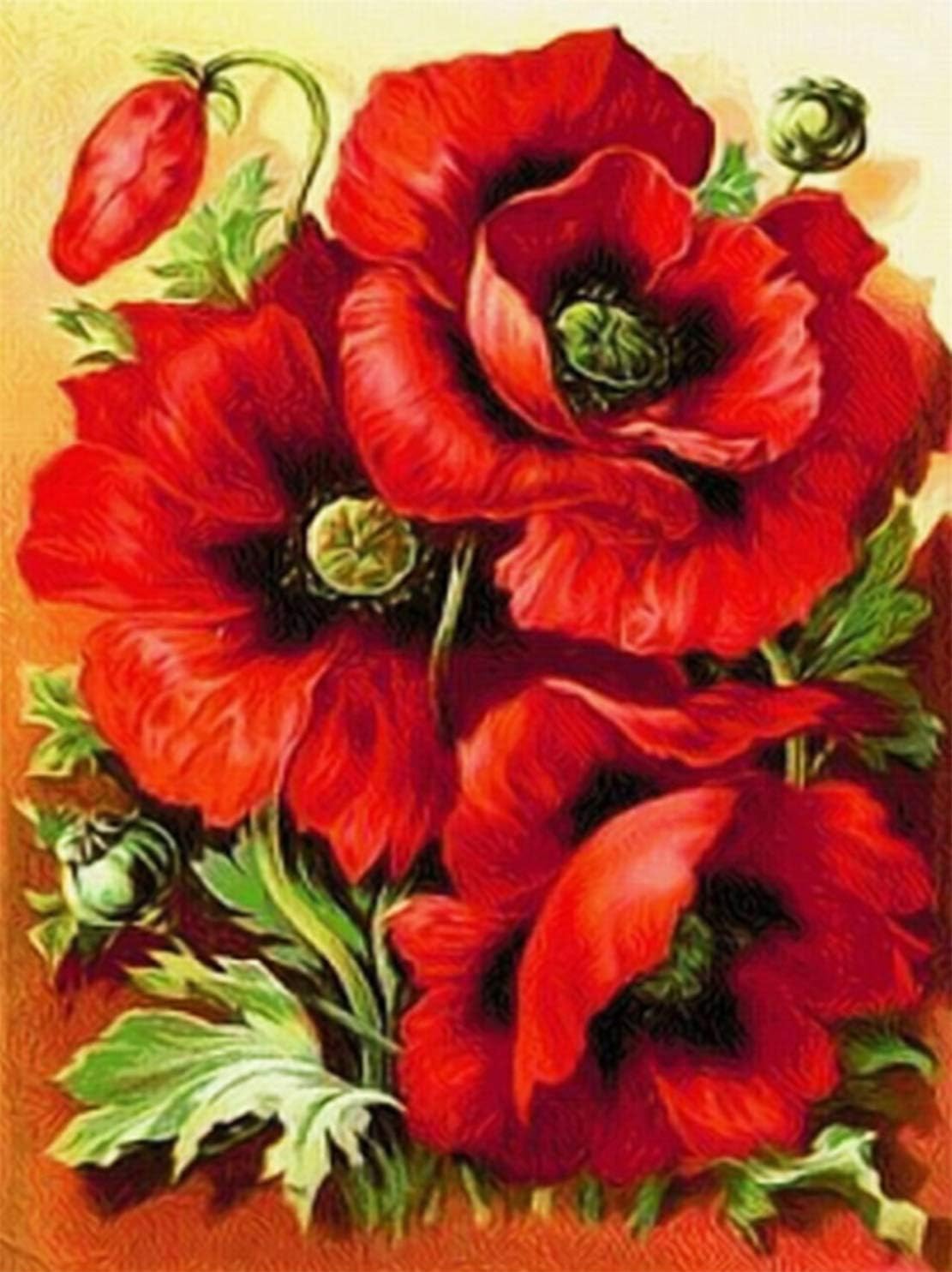 DIY 5D Diamond Painting by Number Kit, Full Drill Peony Flowers & Poppy Flowers Rhinestone Embroidery Cross Stitch Supply Arts Craft Canvas Wall Decor (One Pack)