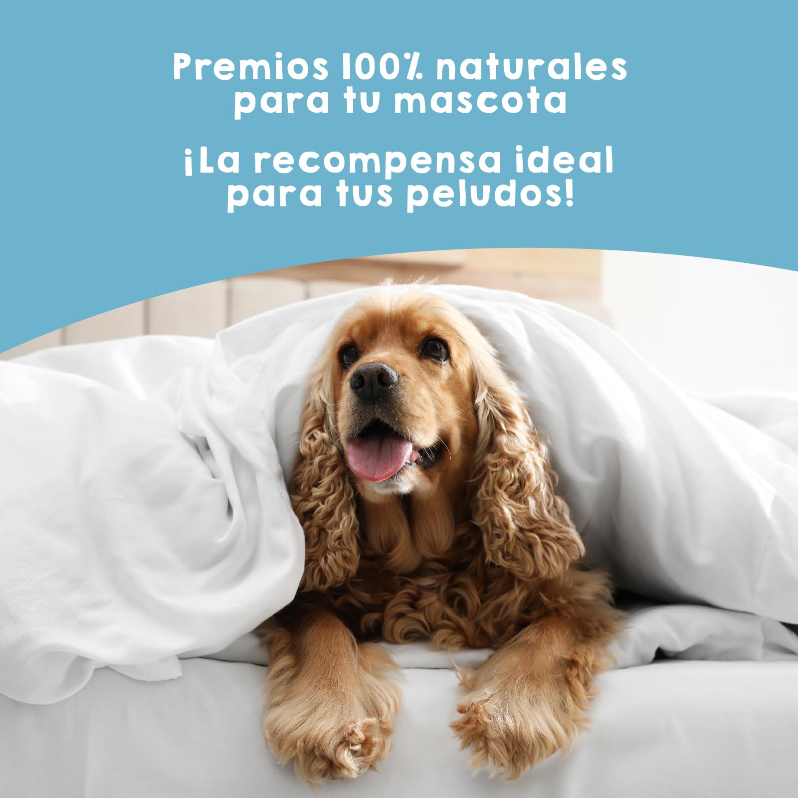 MAIKAI Chuches Naturales para Perros y Gatos Ricas en Omega 3 Boquerones Deshidratados 3x100 g Snack Barf 100% Natural para Todas Las Edades Premios Saludables Producidos en España