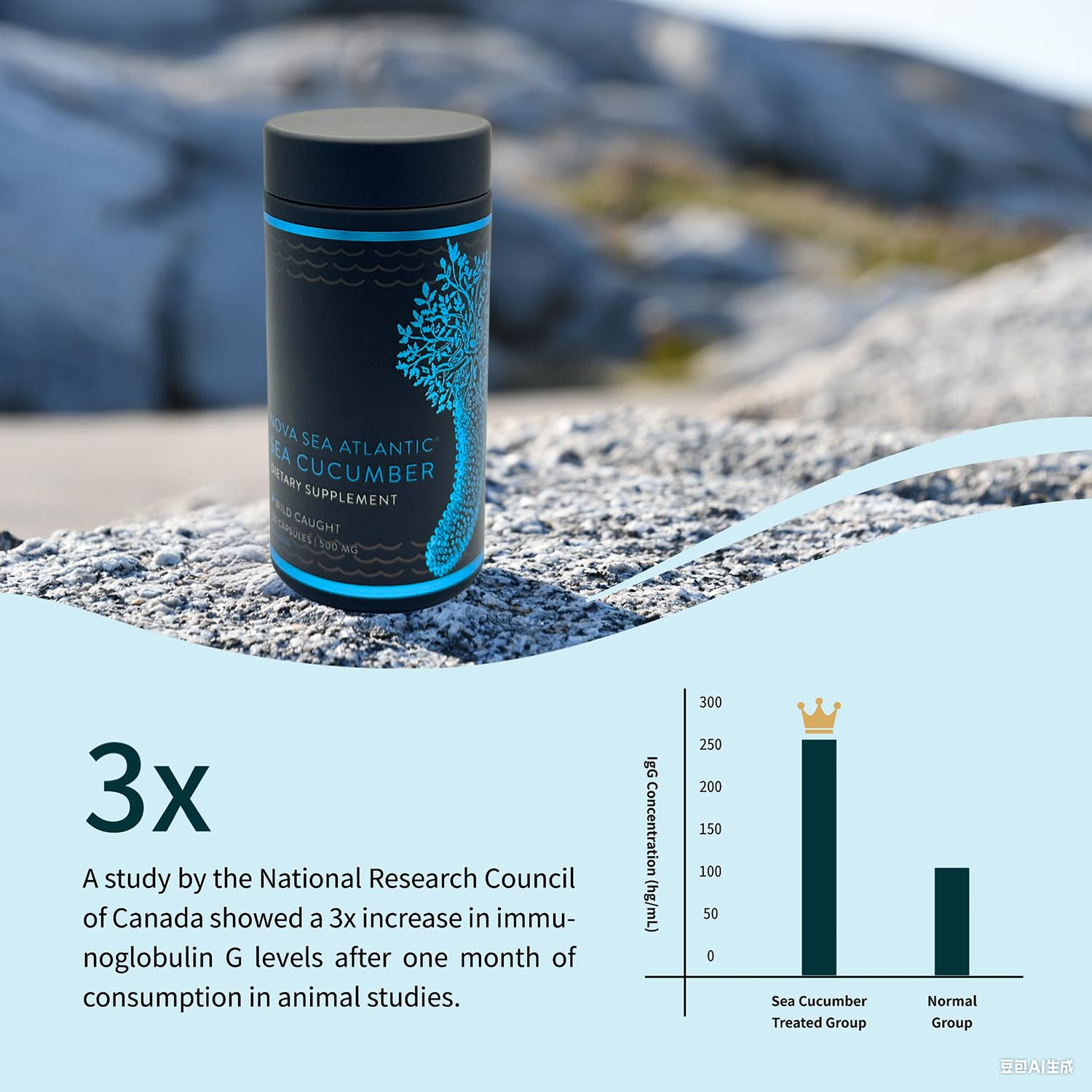 Cetriolo di Mare – Estratto Selvatico di Alta Qualità con Condroitina Fucosilata, Collagene Naturale e Antiossidanti per Supporto Articolare e Pelle (120 capsule)